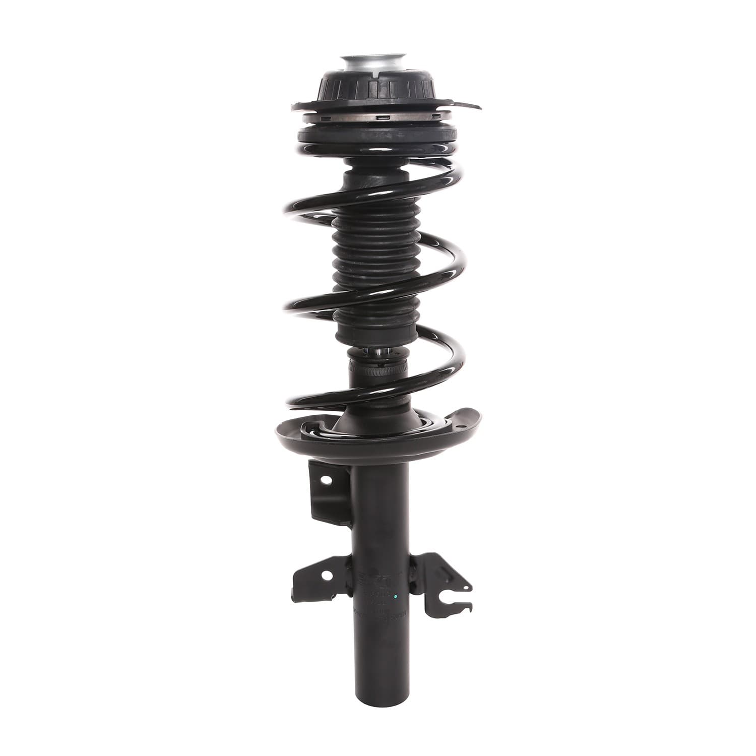 PRT Strut / Coil Spring / Mount Assembly 818603
