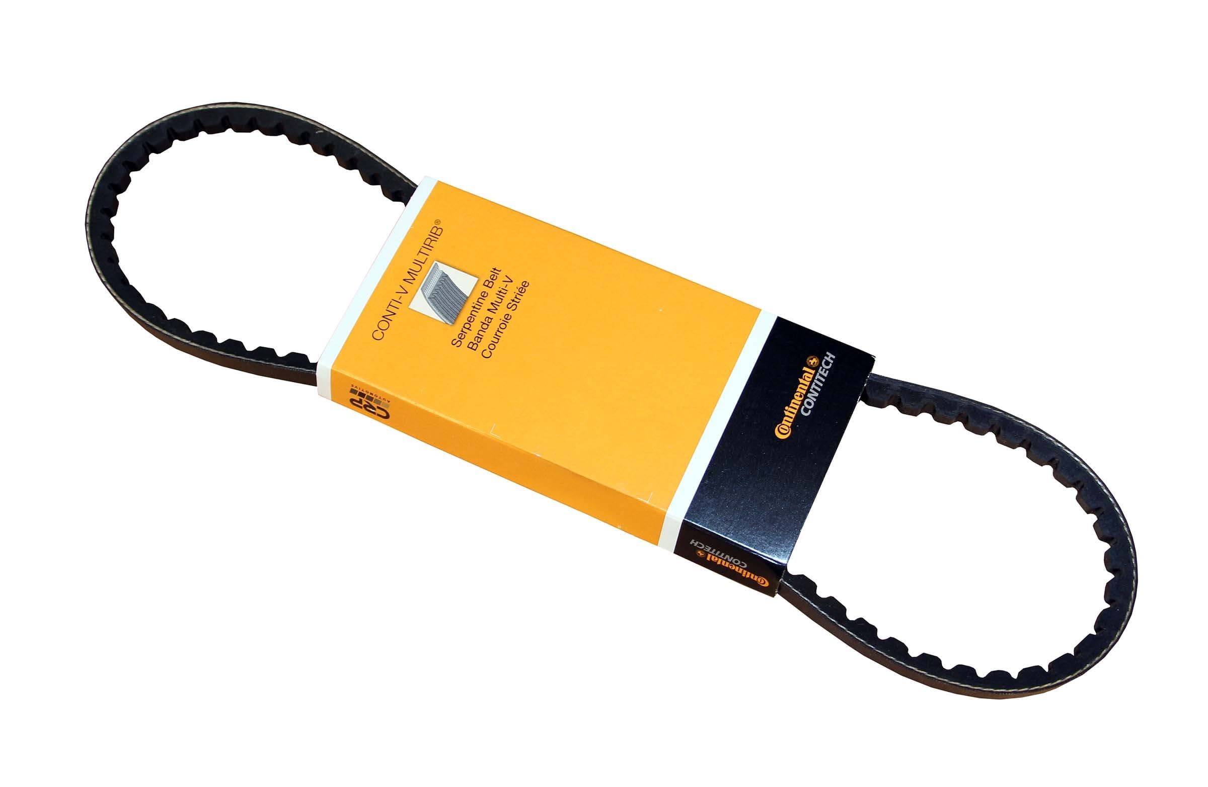 CONTITECH Belt 10X800