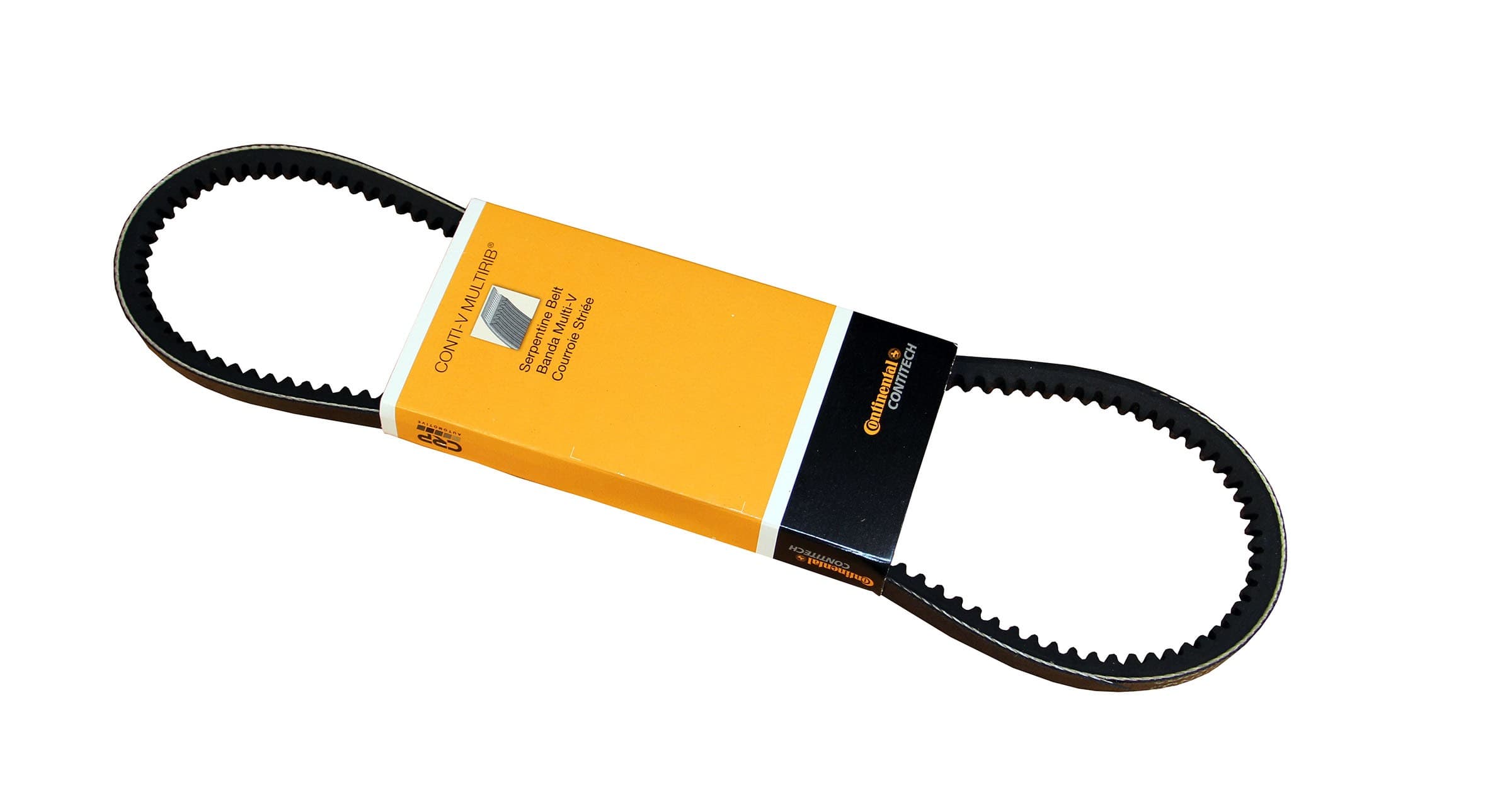 CONTITECH Belt 10X813