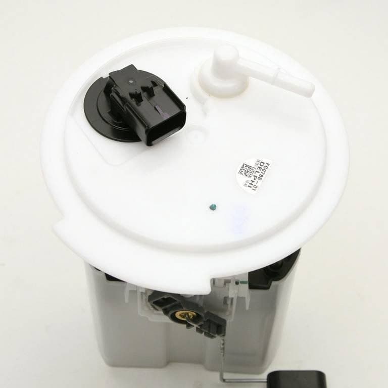 DELPHI Fuel Pump & Housing Assembly FG0786