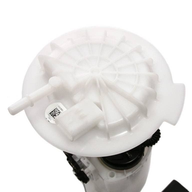 DELPHI Fuel Pump & Housing Assembly FG0890