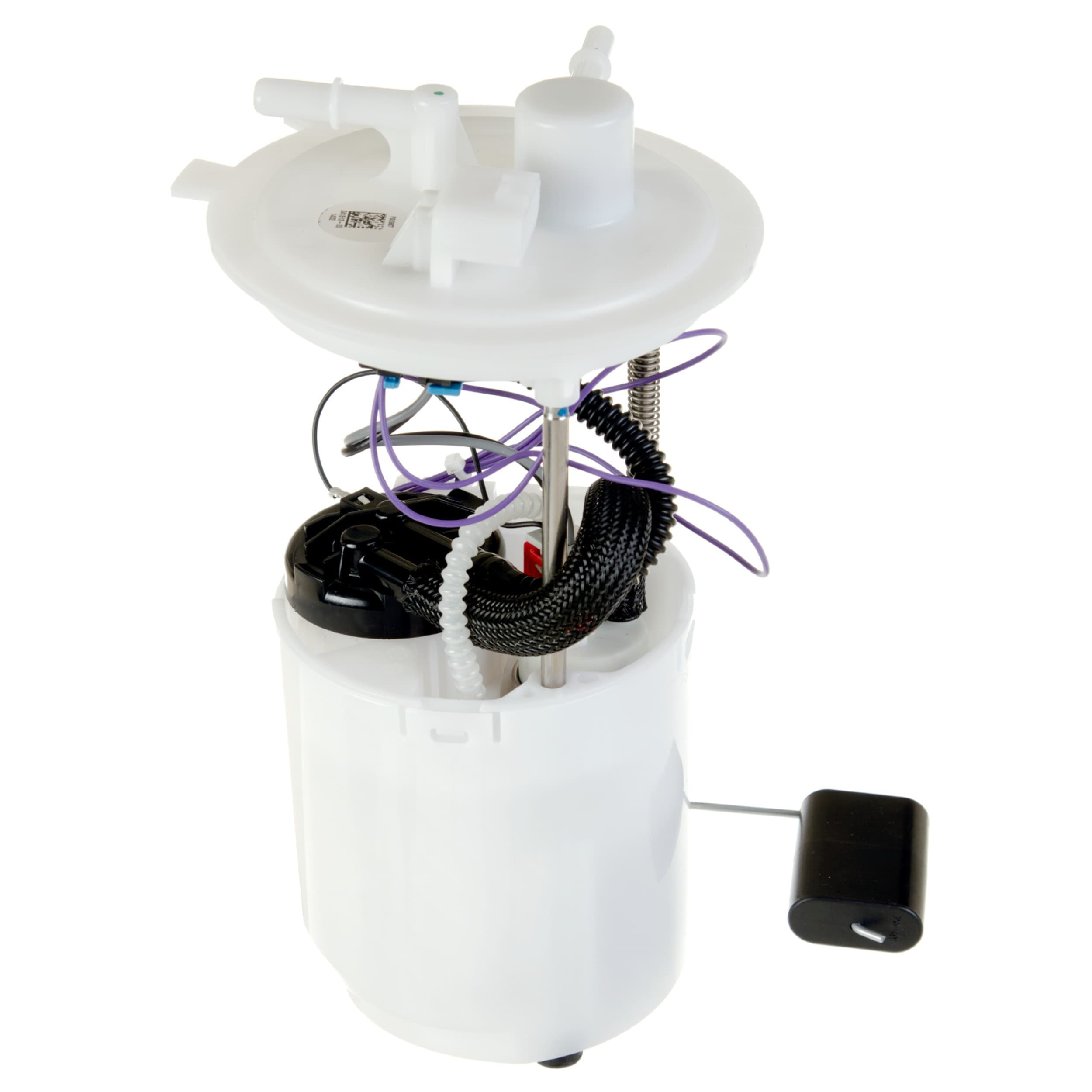 DELPHI Fuel Pump & Housing Assembly FG0987