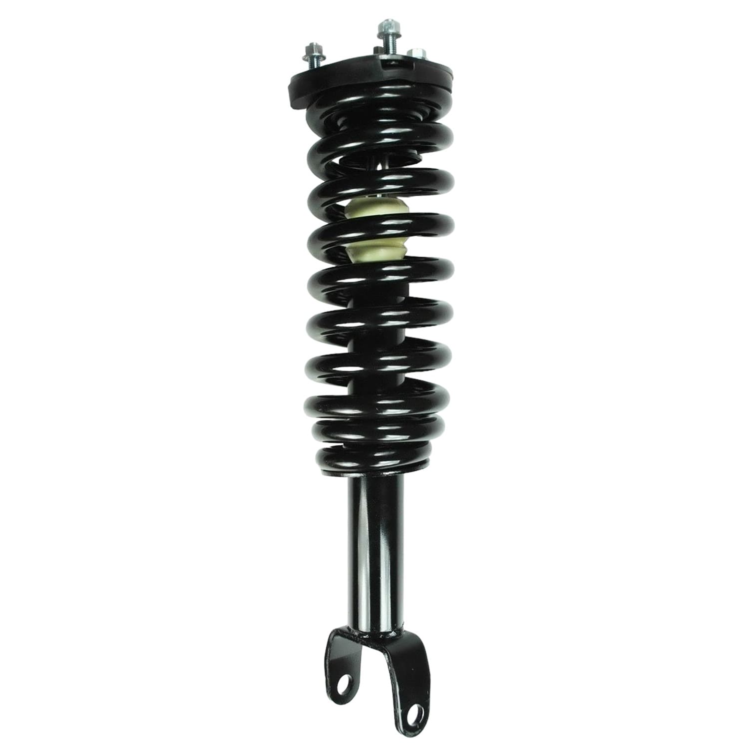 FCS Strut / Coil Spring / Mount Assembly 1345556