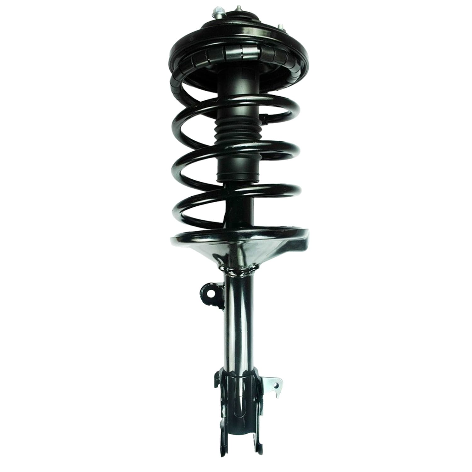 FCS Strut / Coil Spring / Mount Assembly 2331595R