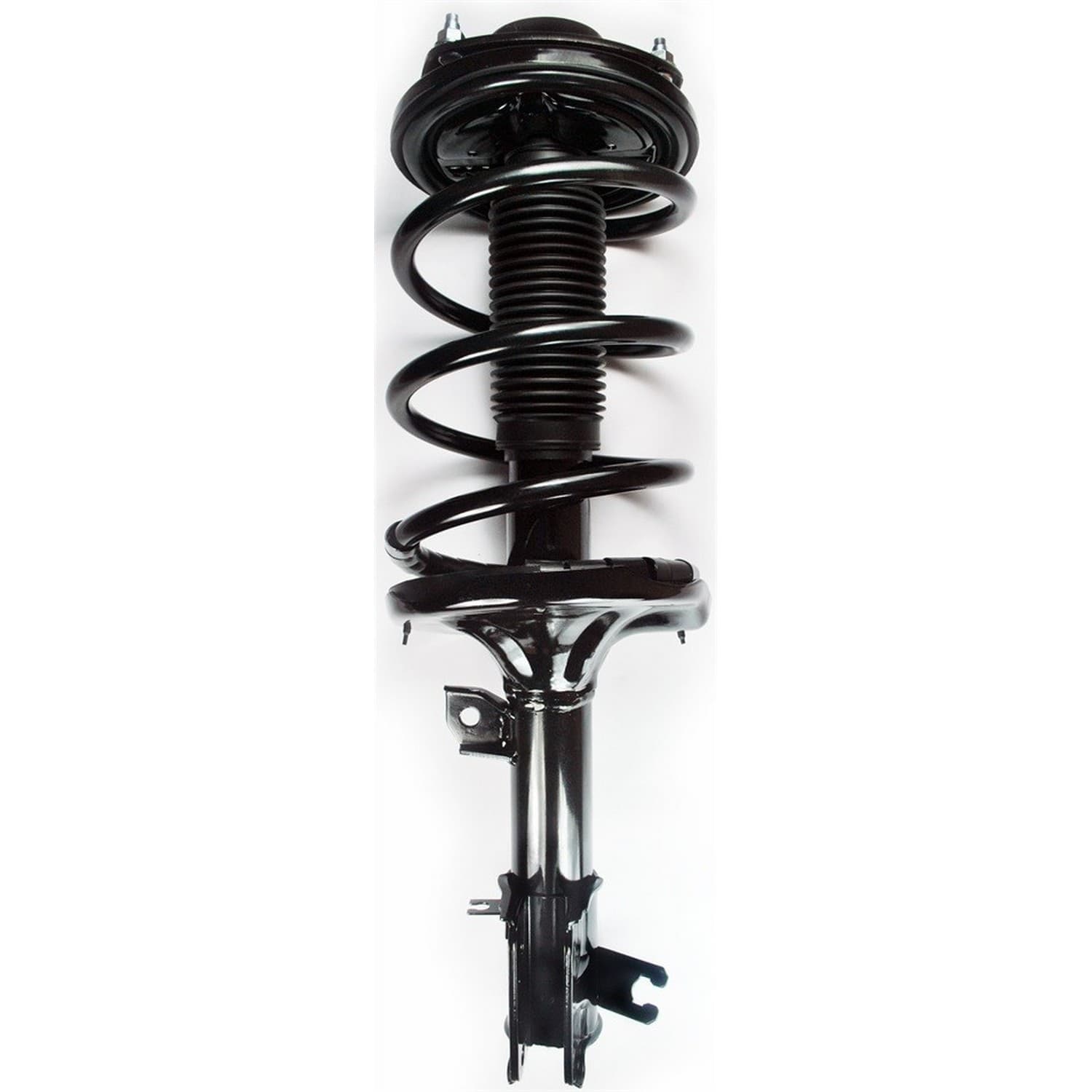 FCS Strut / Coil Spring / Mount Assembly 2331796R