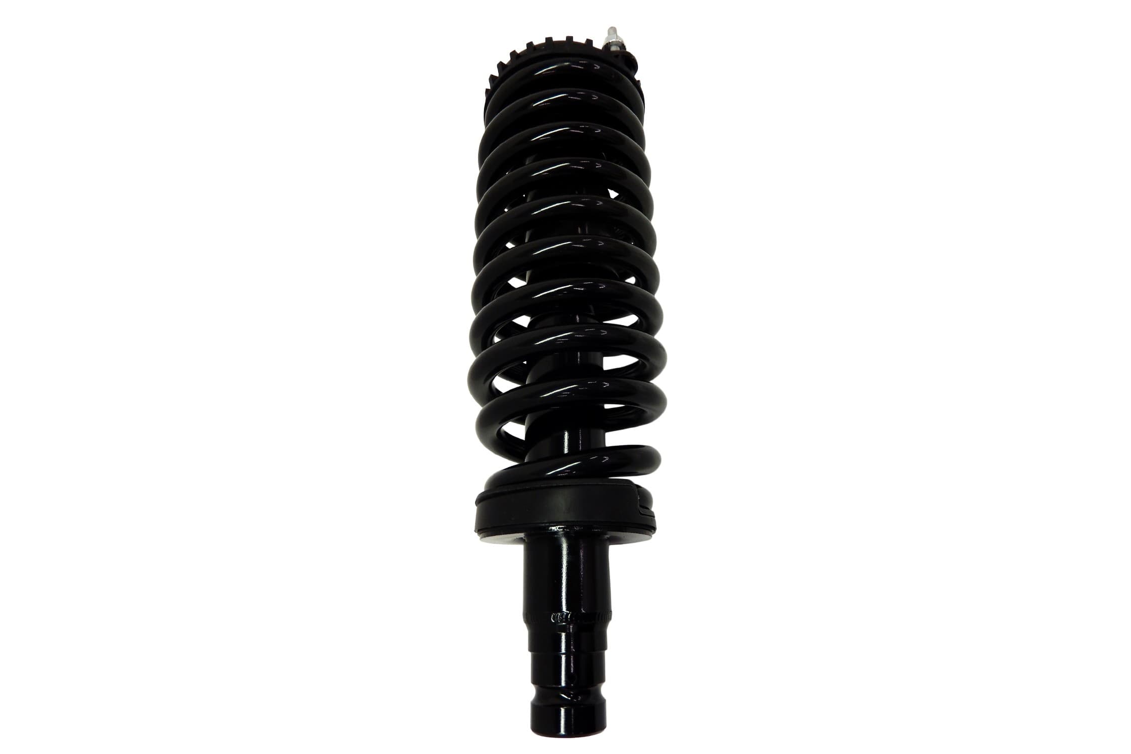 FCS Strut / Coil Spring / Mount Assembly 2336324