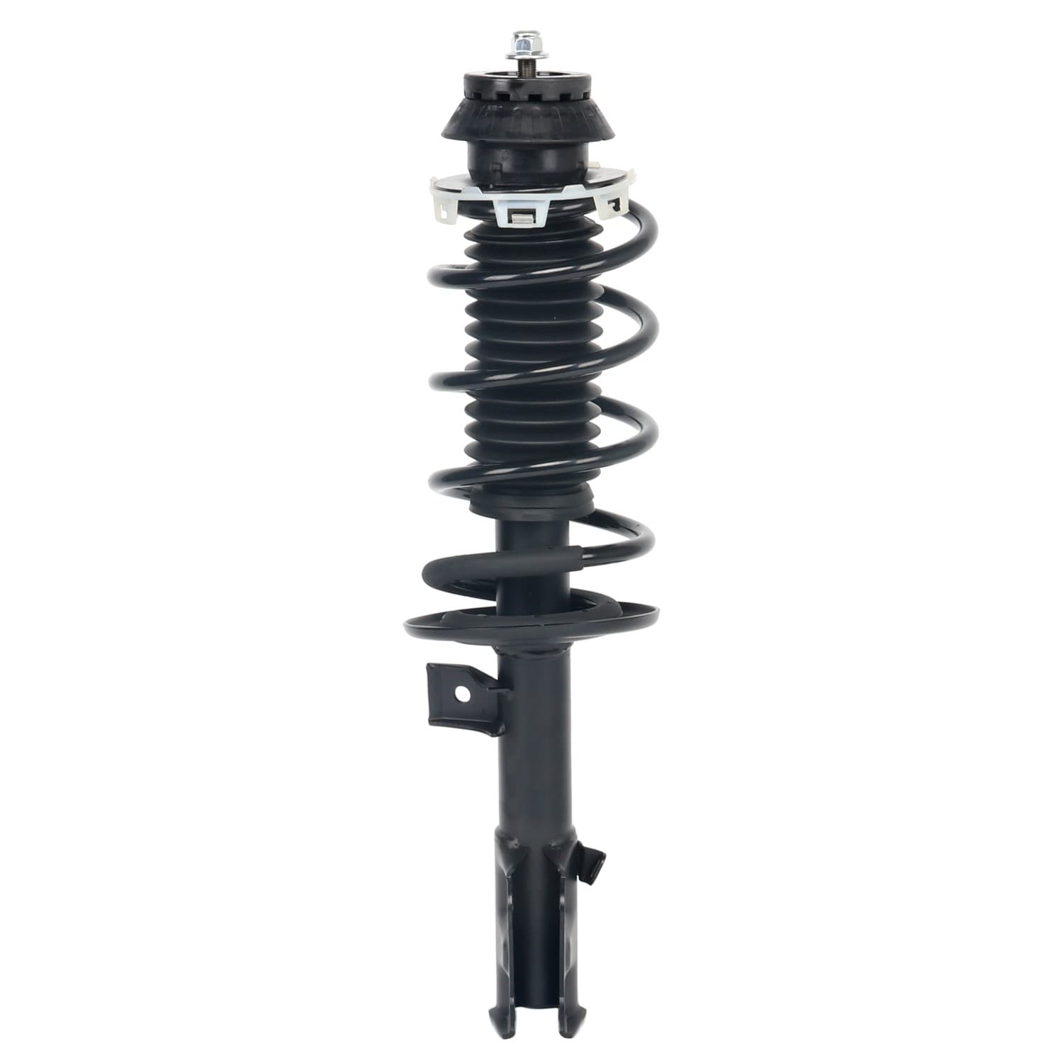 PRT Strut / Coil Spring / Mount Assembly 813864