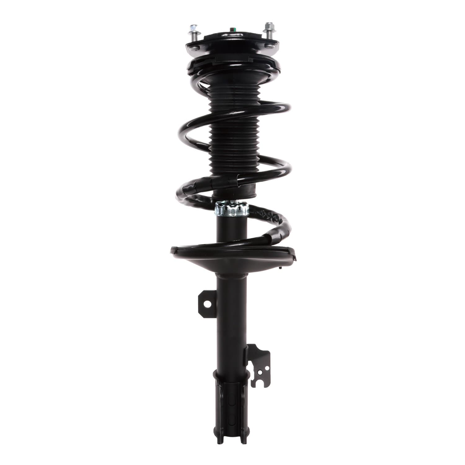 PRT Strut / Coil Spring / Mount Assembly 815019