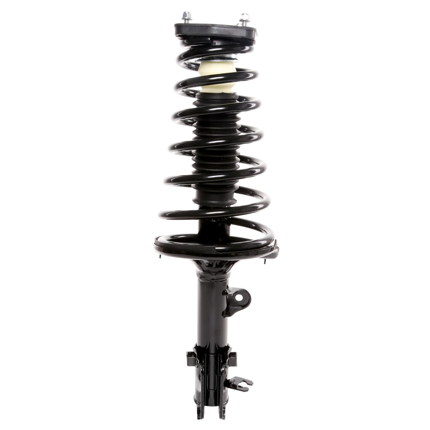 PRT Strut / Coil Spring / Mount Assembly 815215