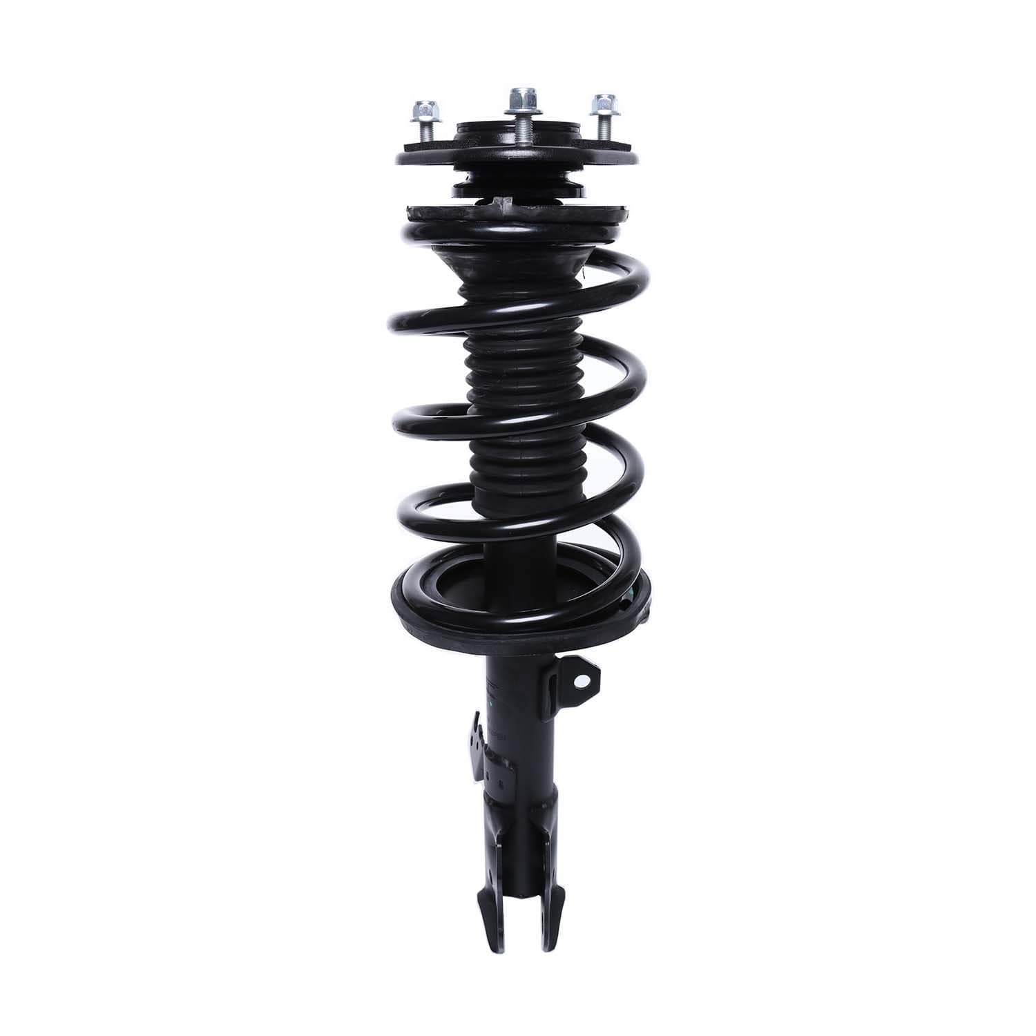 PRT Strut / Coil Spring / Mount Assembly 815918