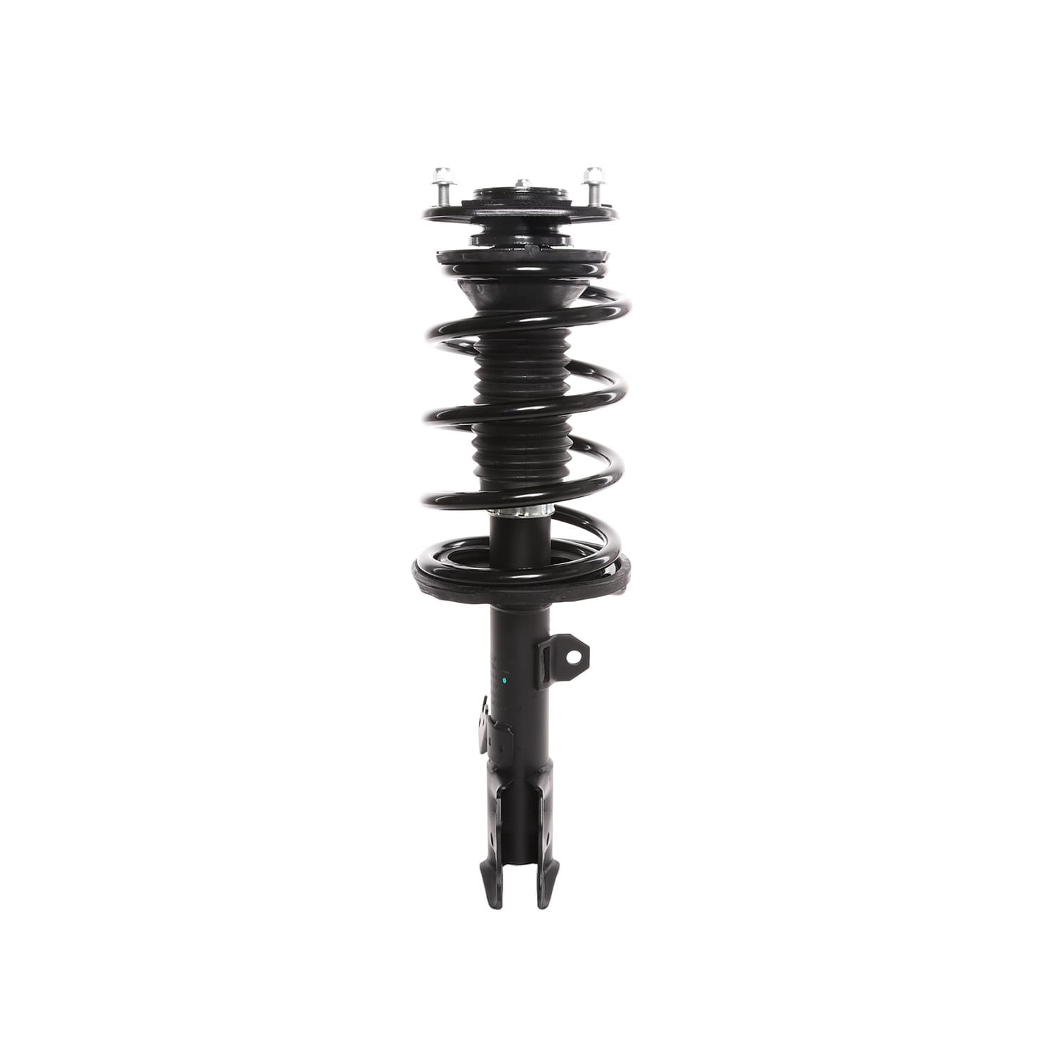 PRT Strut / Coil Spring / Mount Assembly 815940