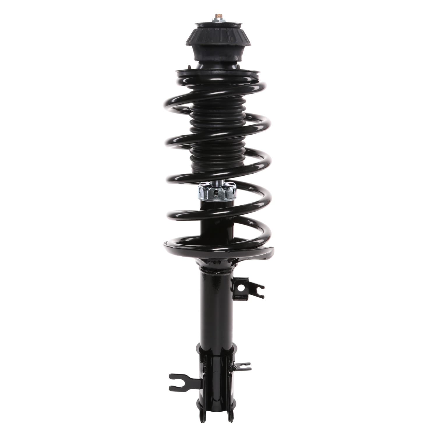 PRT Strut / Coil Spring / Mount Assembly 816646