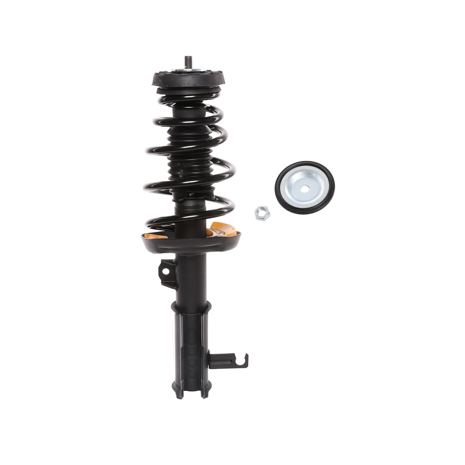PRT Strut / Coil Spring / Mount Assembly 818031