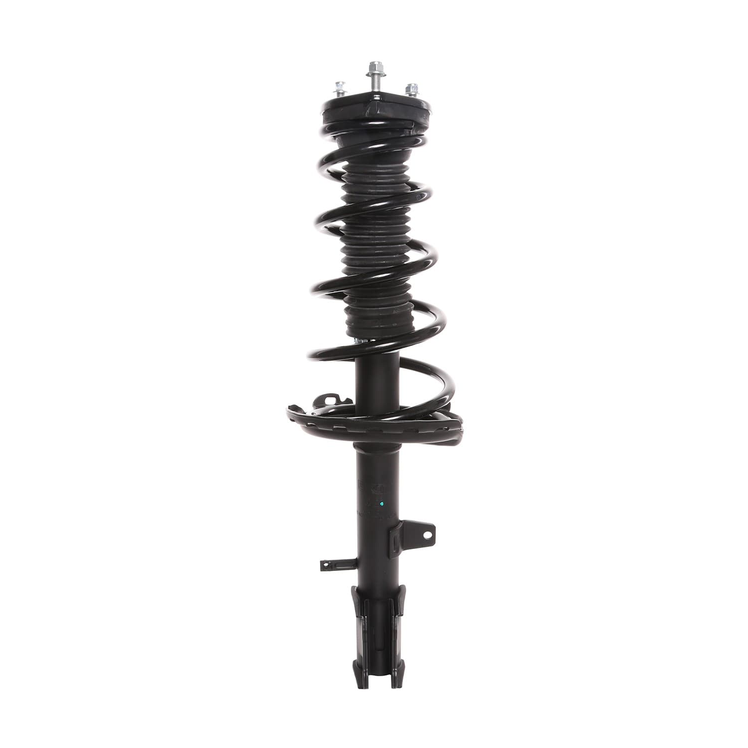PRT Strut / Coil Spring / Mount Assembly 818188