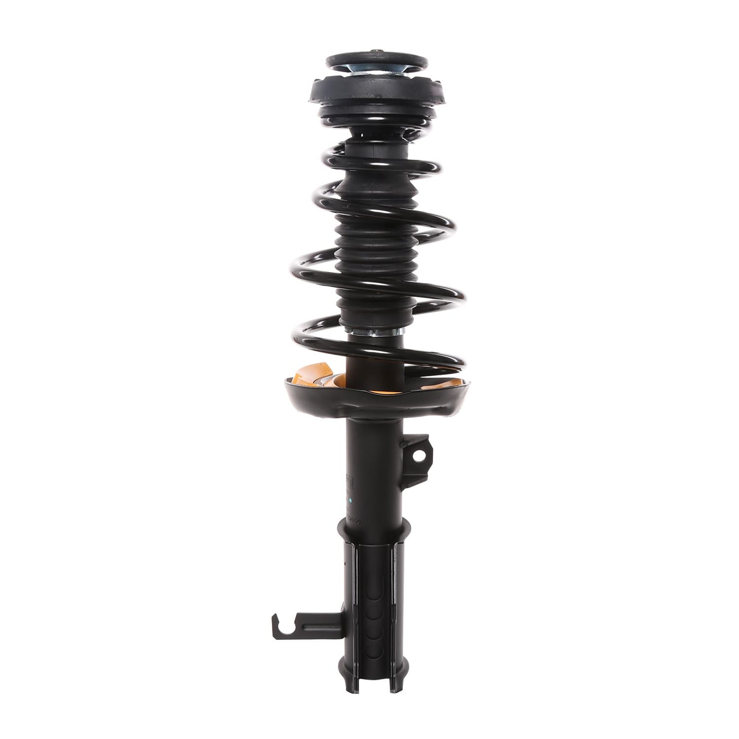 PRT Strut / Coil Spring / Mount Assembly 818198