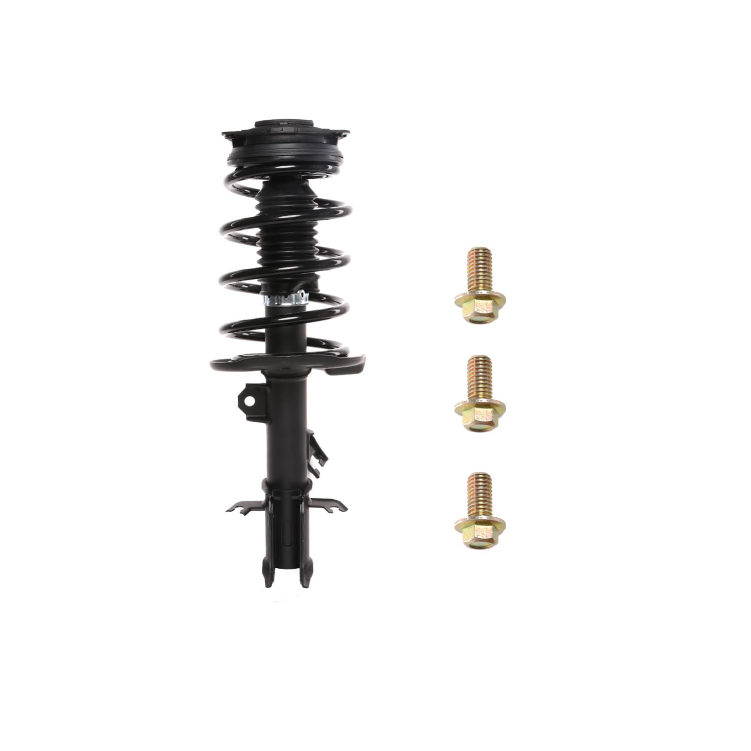 PRT Strut / Coil Spring / Mount Assembly 818911