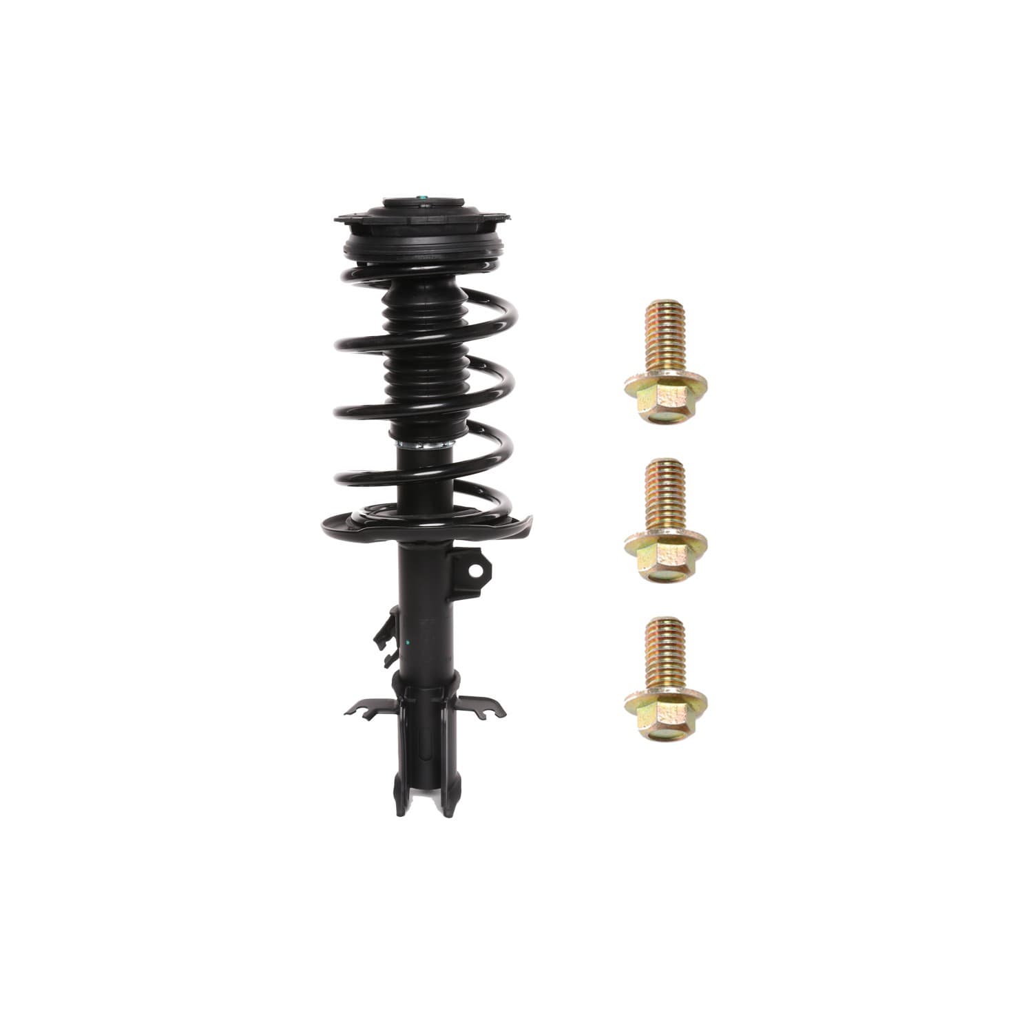 PRT Strut / Coil Spring / Mount Assembly 818912