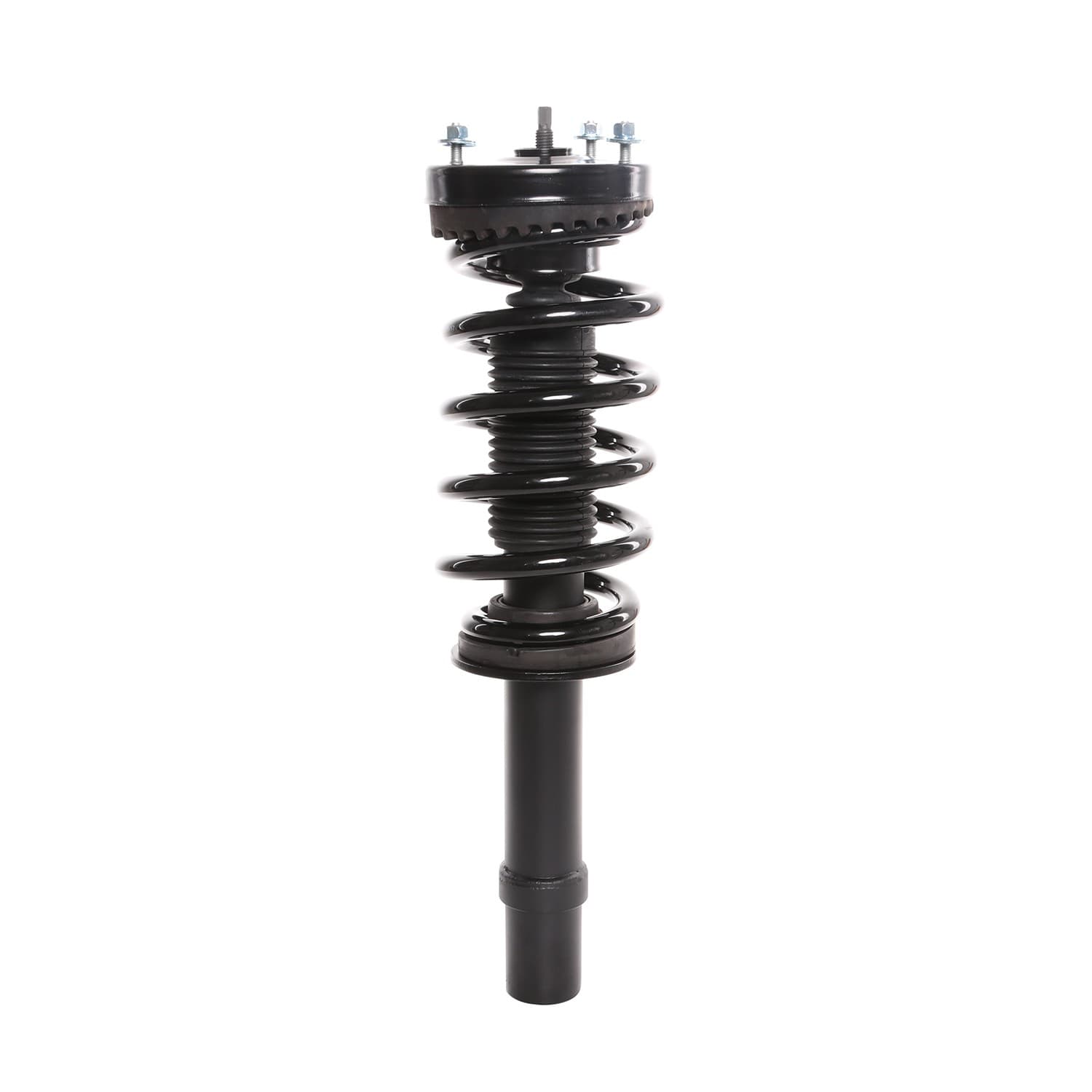 PRT Strut / Coil Spring / Mount Assembly 818943