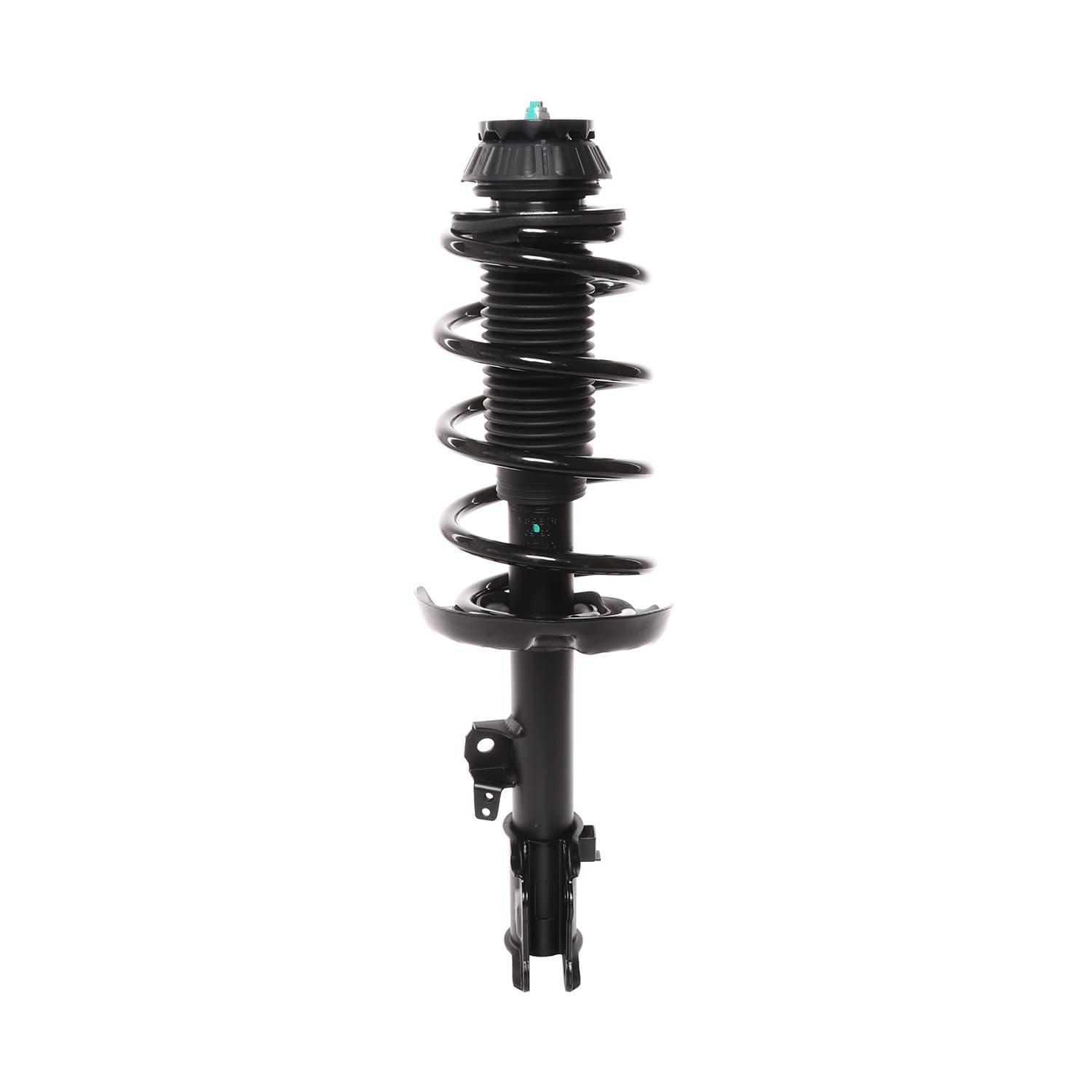PRT Strut / Coil Spring / Mount Assembly 818988