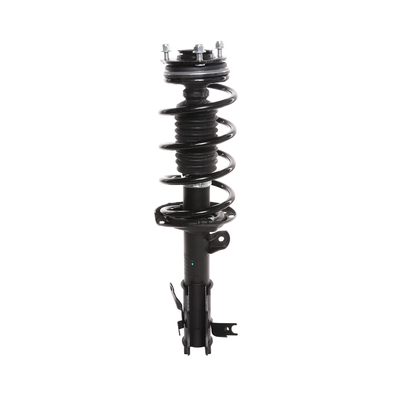 PRT Strut / Coil Spring / Mount Assembly 819380